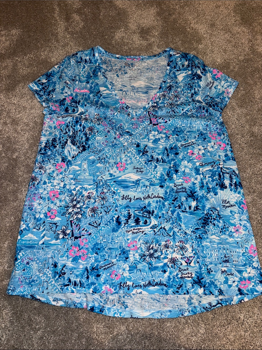Lilly Pulitzer Blue Scenic Floral V-Neck Tee with Pink Accents
